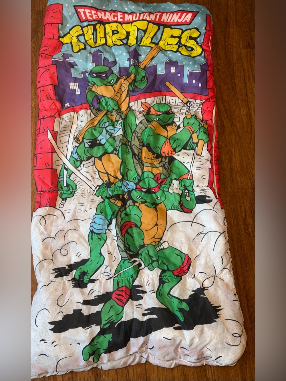 Vintage 1988 Teenage Mutant Ninja Turtles Slpng Bg Nostalgia 90’s Kid
